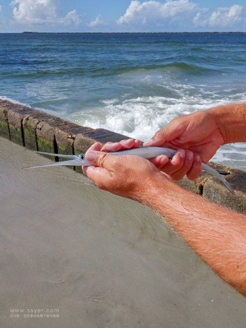 用水文監測站助力鱔魚養殖 用水文監測站助力鱔魚養殖